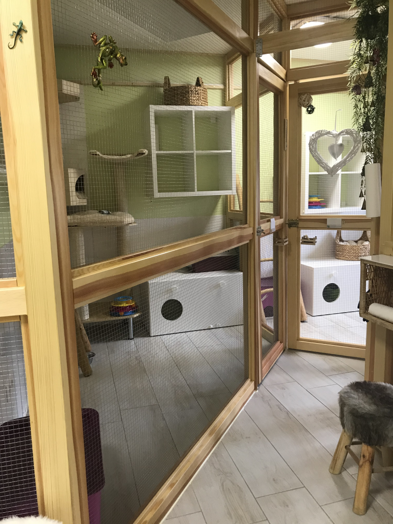 Haus Kitty Essen Die Purrfekte Katzenpension Fur Ihren Stubentigerfeed